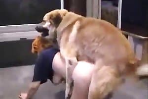 pet sex