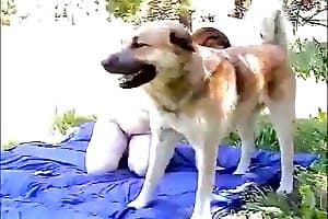 dog