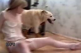 dog