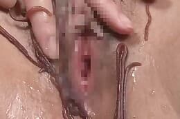 pussy