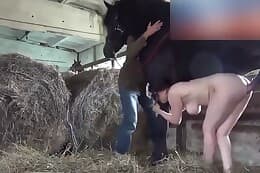 free animal porn