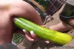 dick