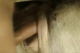 pussy