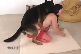 pet sex