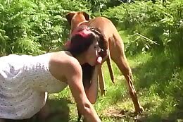 animal sex clips