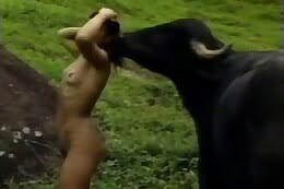 free animal porn