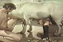 animal sex clips