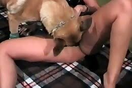 hardcore bestiality