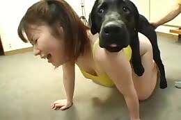 pet sex