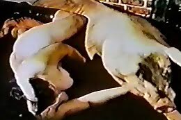 videos