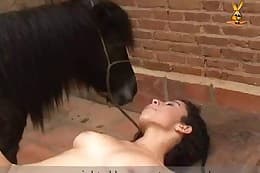 free animal porn