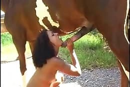 latinas