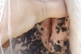 pet sex