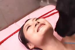 free animal porn