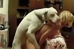 horse sex
