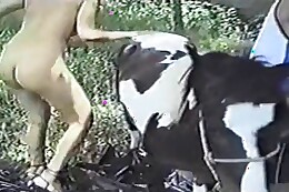 animal sex clips