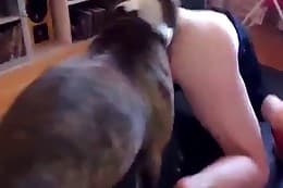 free animal porn