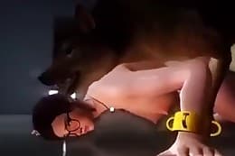 free animal porn