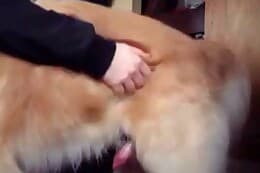 handjob
