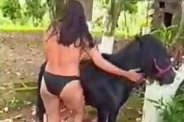 bestiality