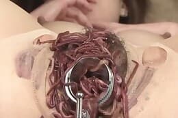 worms