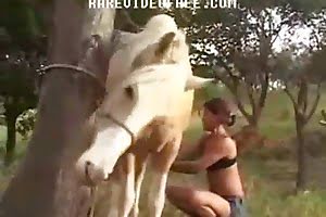 ->