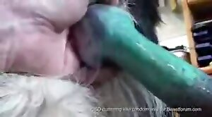 beastiality,bestiality-stories