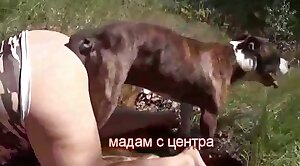 outdoor,animal-fuck