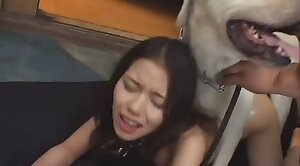 japanese,animal-fuck