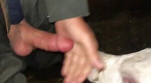 amazing-sex,beastiality