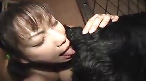 dog-xxx,animal-fuck