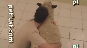 loving,hardcore