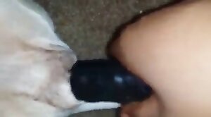play,dildo