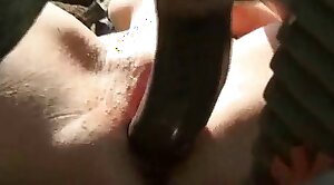 animal-fuck,horse-sex