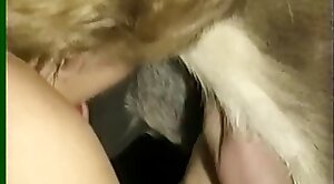 threesome,animals-video