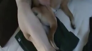 animal-fuck,guy