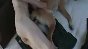 animal-fuck,guy