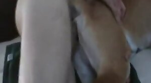 animal-fuck,guy