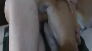 animal-fuck,guy
