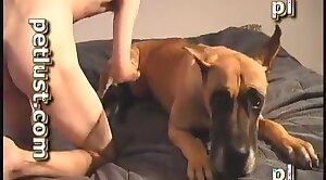 puss,dog-xxx