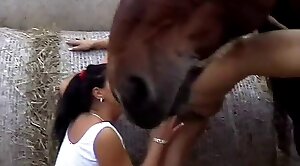 horse-sex,black
