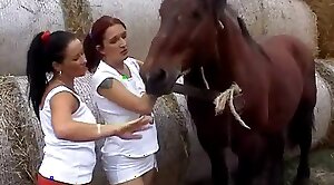 horse-sex,sex-movie