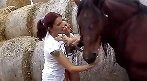 horse-sex,sex-movie