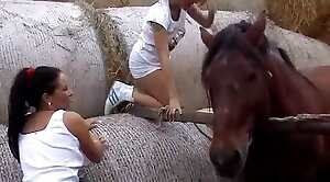 horse-sex,sex-movie