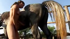 cutie,horse-fucking