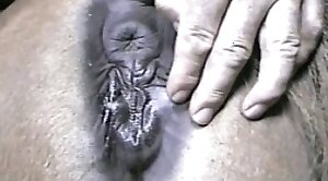 cock,veiny