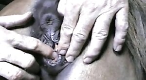 cock,veiny