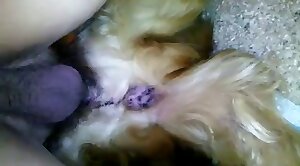 animal-fuck,hard