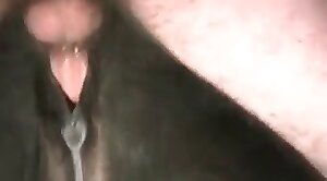 penis,mighty