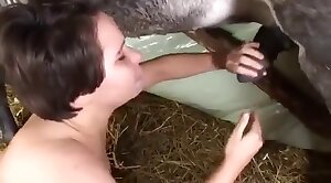 cock,sucks